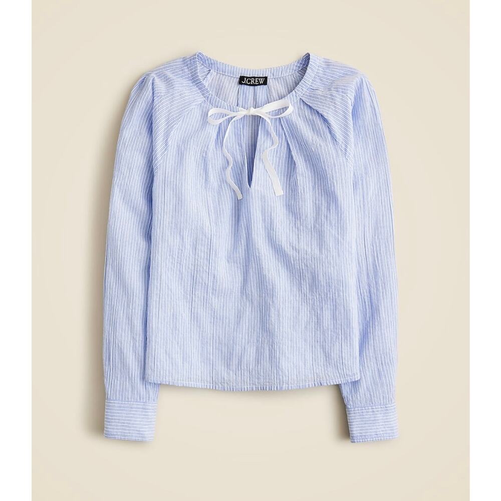 J. Crew Light Blue Striped Tie-Neck Blouse